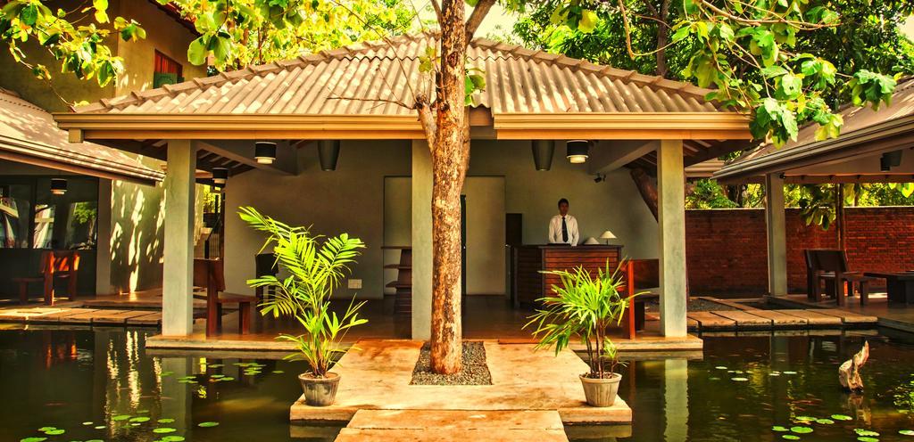 Fresco Water Villa Sigirîya Extérieur photo